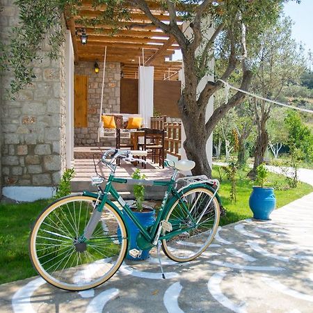To Stolidi Tis Psinthou Villa Psinthos Ngoại thất bức ảnh