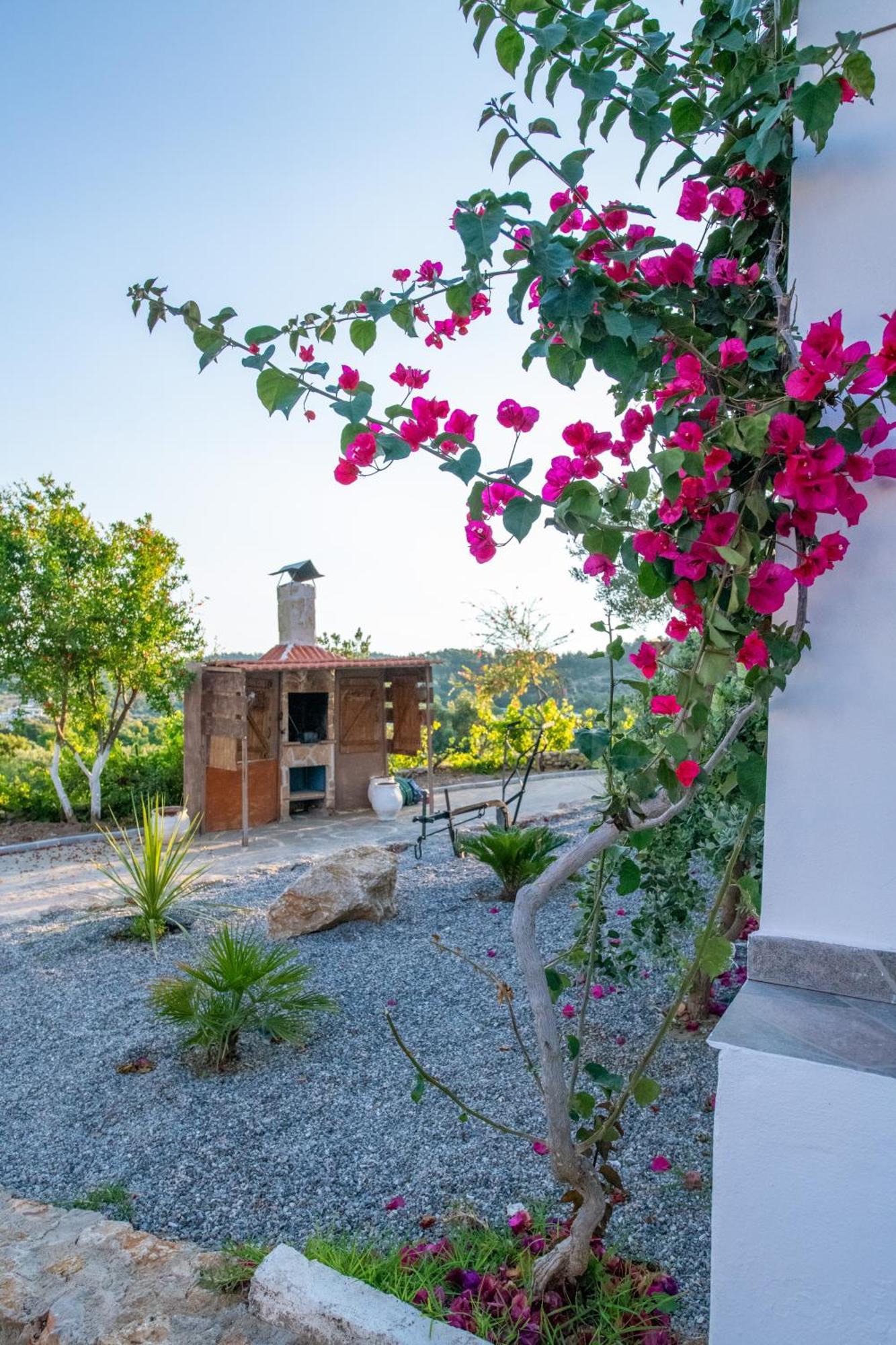 To Stolidi Tis Psinthou Villa Psinthos Ngoại thất bức ảnh