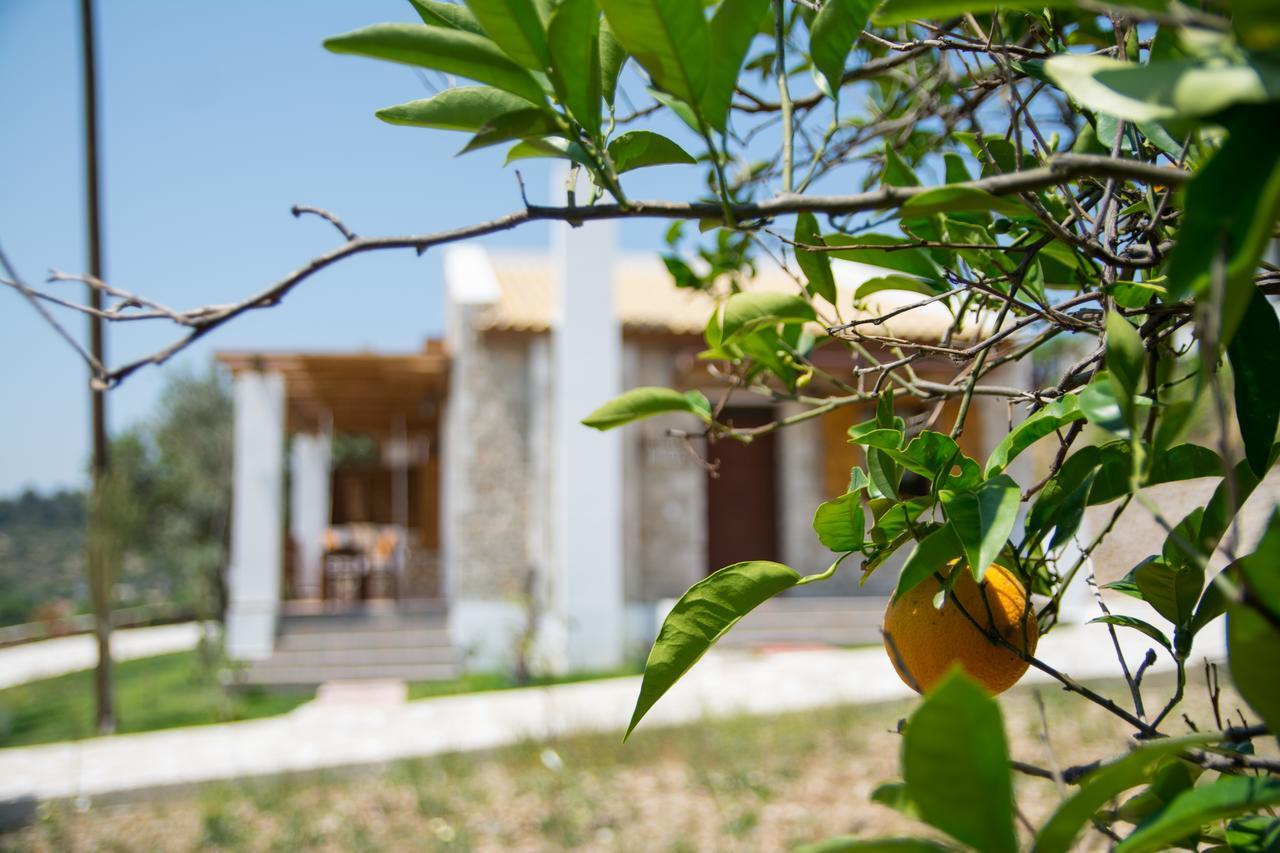 To Stolidi Tis Psinthou Villa Psinthos Ngoại thất bức ảnh